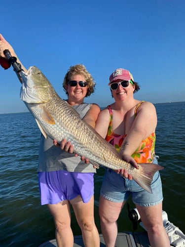 Laguna Madre Bay Trip In Corpus Christi