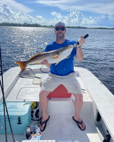 Quick Trips For Reds And Trout In Panama City