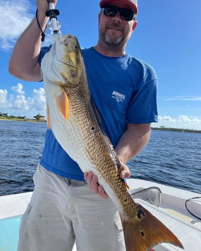 Quick Trips For Reds And Trout In Panama City