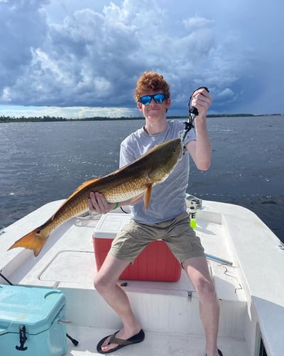 Quick Trips For Reds And Trout In Panama City