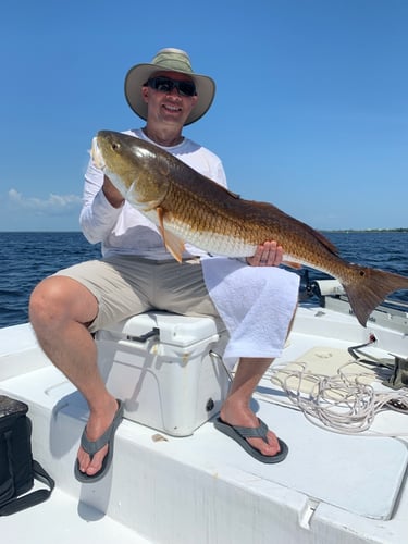 Quick Trips For Reds And Trout In Panama City