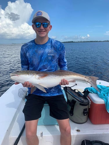 Quick Trips For Reds And Trout In Panama City