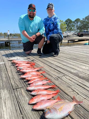 Pensacola Offshore Run In Pensacola