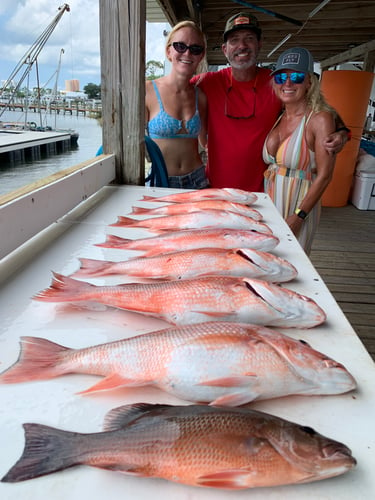 Red Snapper / Reef Fishing In Orange Beach