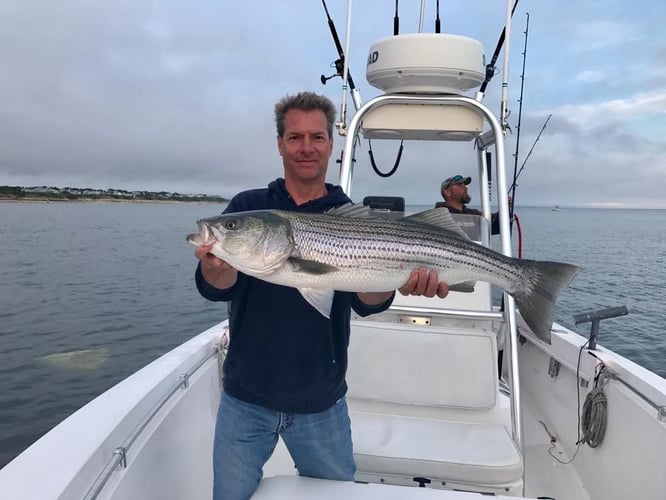 Cape Cod Inshore - 32’ Andros In Chatham