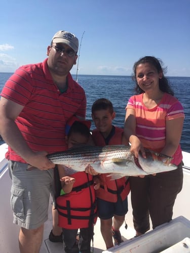Cape Cod Inshore - 32’ Andros In Dennis
