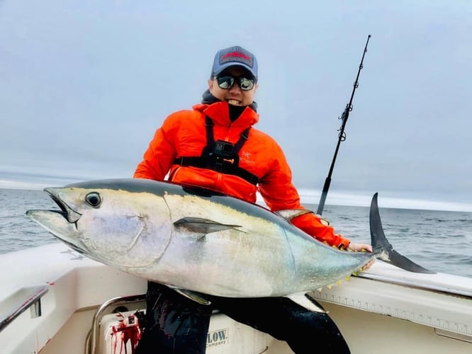 Cape Cod Offshore - 26' SeaVee In Dennis