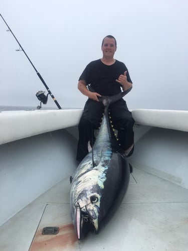 Cape Cod Offshore - 26' SeaVee In Dennis