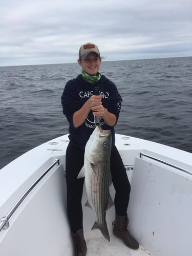 Cape Cod Inshore - 32’ Andros In Dennis
