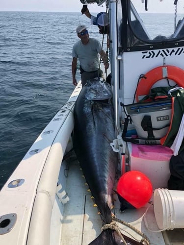 Cape Cod Offshore - 26' SeaVee In Dennis