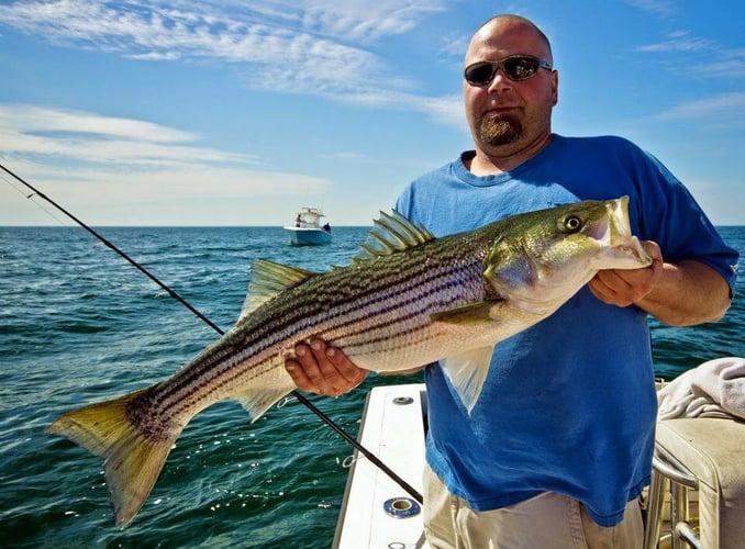 Cape Cod Inshore - 32’ Andros In Dennis