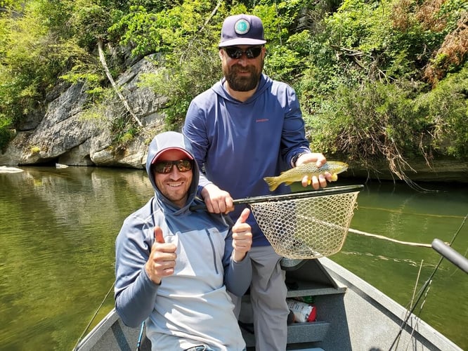 Streamer Fishing for Brown Trout in Johnson City