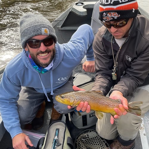 Streamer Fishing for Brown Trout in Johnson City