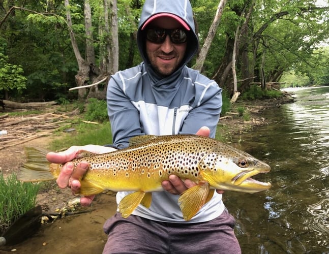 Streamer Fishing for Brown Trout in Johnson City
