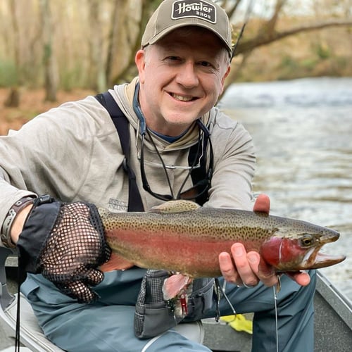 Streamer Fishing for Brown Trout in Johnson City