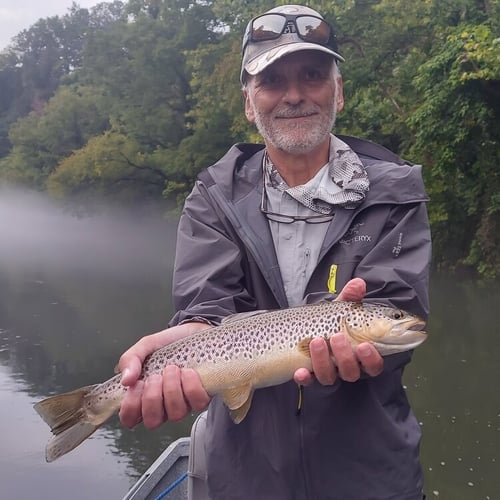 Streamer Fishing for Brown Trout in Johnson City