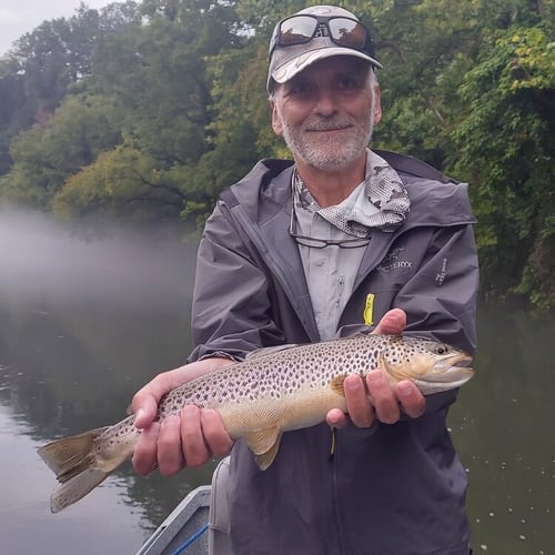 Tailwater Trout In Johnson City