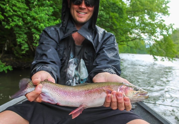 Streamer Fishing for Brown Trout in Johnson City