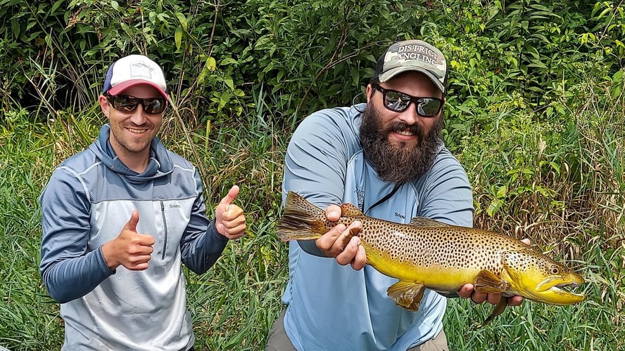 Streamer Fishing for Brown Trout in Johnson City