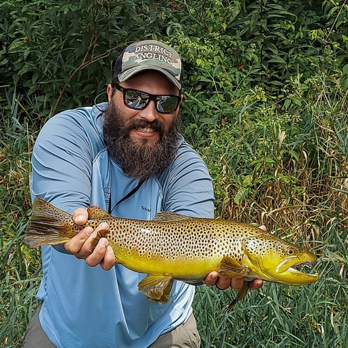 Streamer Fishing for Brown Trout in Johnson City