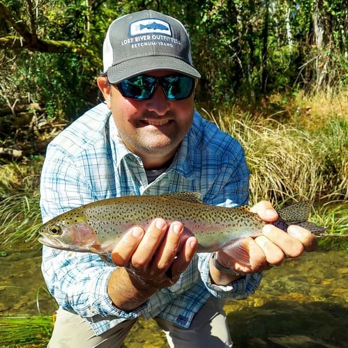 Streamer Fishing for Brown Trout in Johnson City