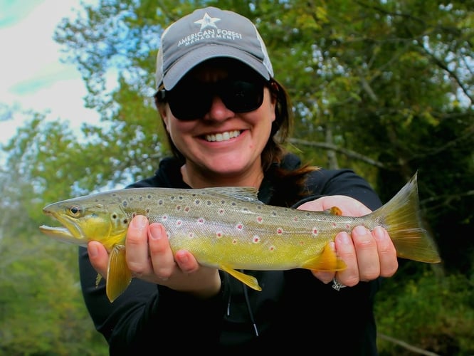 Streamer Fishing for Brown Trout in Johnson City