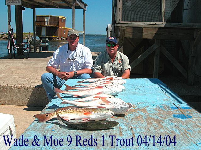 Full-day or Half-day Fishing Trip