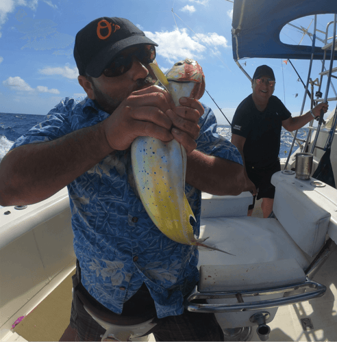 Fishing Charter In Cancun 35ft For 9px In Cancún