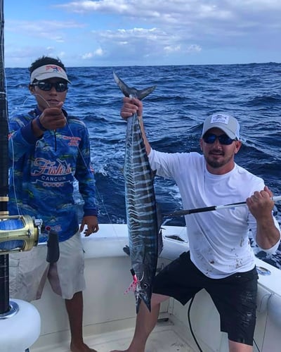 Fishing Charter In Cancun 35ft For 9px In Cancún