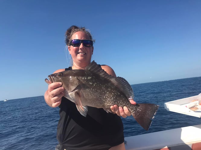 Live Baiting And Bottomfishing In Key Largo