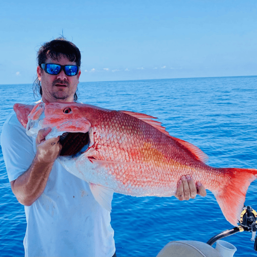 Live Baiting And Bottomfishing In Key Largo