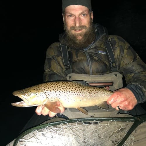 Premier Nighttime Trout Fishing In South Boardman