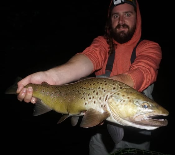 Premier Nighttime Trout Fishing In South Boardman