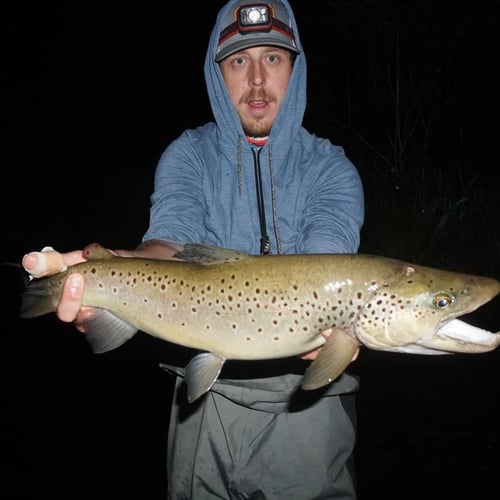 Premier Nighttime Trout Fishing In South Boardman