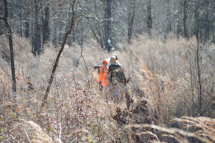 Austin, TX Quail Hunting In Austin