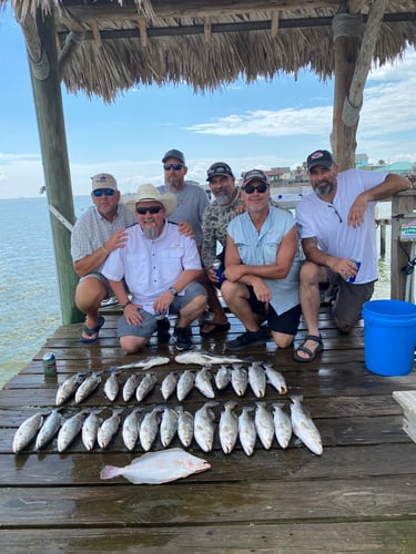 Galveston Game Fish Roundup In Galveston