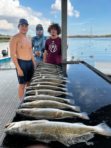 Galveston Game Fish Roundup In Galveston