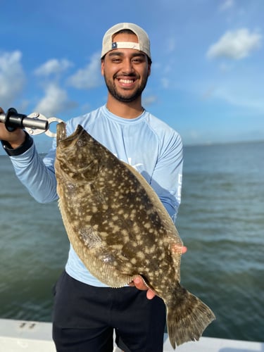 Galveston Game Fish Roundup In Galveston