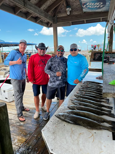 Galveston Game Fish Roundup In Galveston