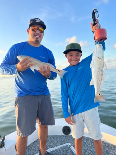 Galveston Game Fish Roundup In Galveston