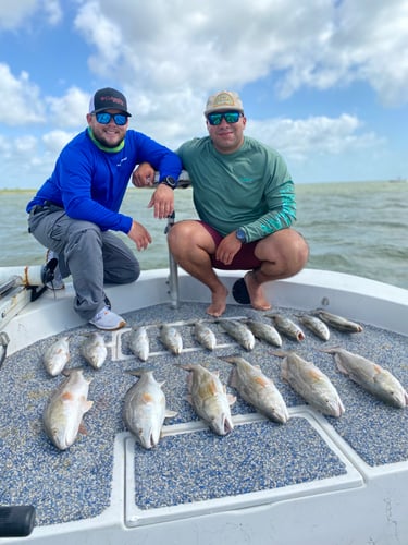 Galveston Game Fish Roundup In Galveston