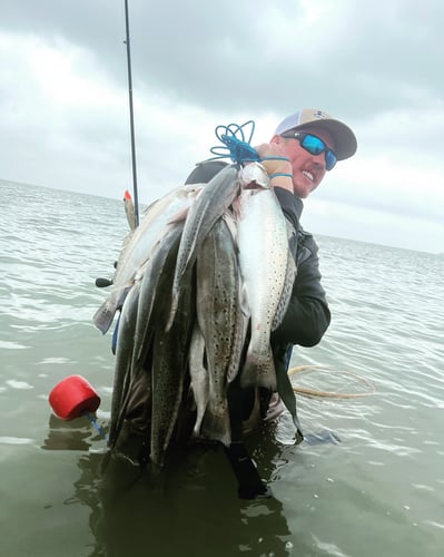 Galveston Game Fish Roundup In Galveston