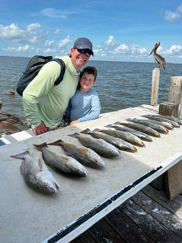 Galveston Game Fish Roundup In Galveston