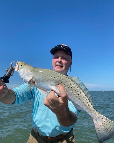 Galveston Game Fish Roundup In Galveston