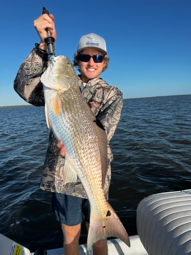 Galveston Game Fish Roundup In Galveston