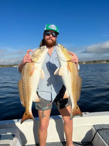 Galveston Game Fish Roundup In Galveston