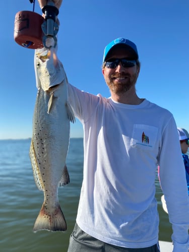 Galveston Game Fish Roundup In Galveston