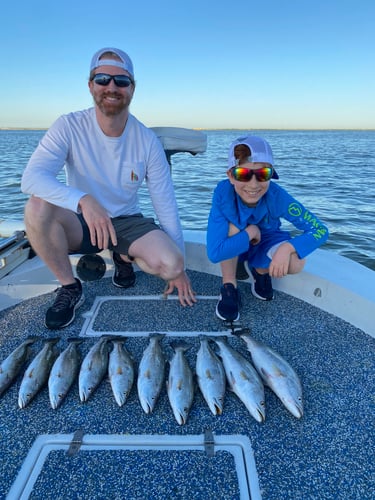 Galveston Game Fish Roundup In Galveston