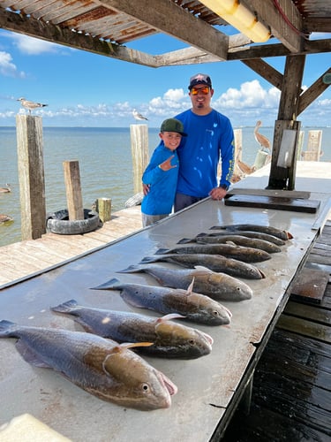 Galveston Game Fish Roundup In Galveston