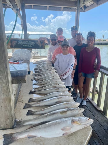 Galveston Game Fish Roundup In Galveston